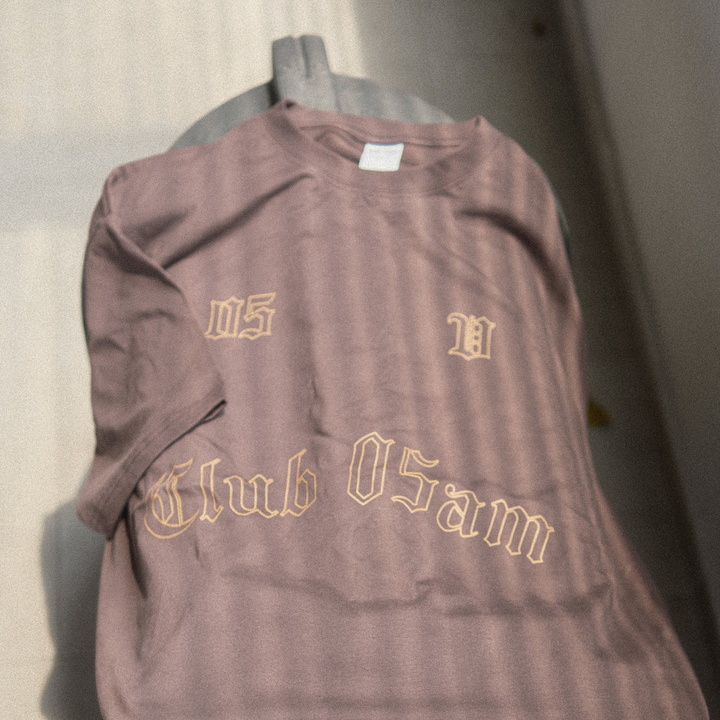 05-AM Vintage Plum Oversized T-Shirt
